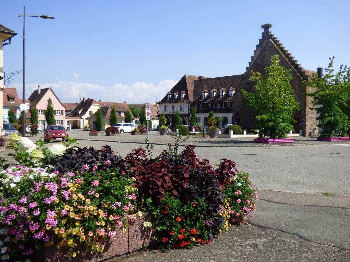 Au Pre Des Oies Ferienhaus Ostheim