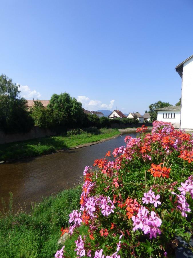Au Pre Des Oies Ferienhaus Ostheim
